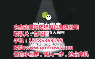 高密网络公司专业推广与凤鸣网络技术深度解析 高清视觉营销赋能旅游开发项目策划