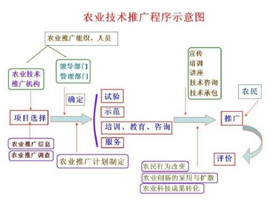 农业推广程序 从理论到实践的桥梁